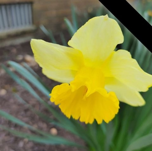 Meet your Posher, Vera - Picture 1 of 1